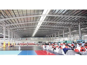 鋼結(jié)構(gòu)工程應(yīng)用與東莞市振晟鋼結(jié)構(gòu)建設(shè)工程概覽